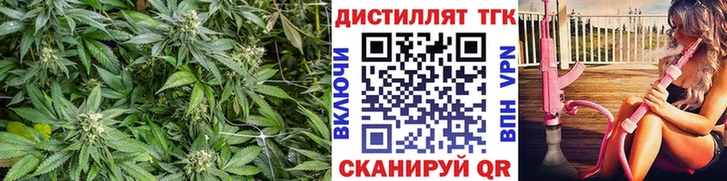 закладки  Новоалександровск  ТГК вейп с тгк 