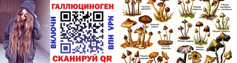 Галлюциногенные грибы Magic Shrooms  дарнет шоп  Новоалександровск 